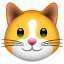 Kedi yüzü