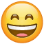 Ağzı açık ağlayarak gülen emoji U+1F604