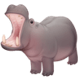 Hipopotam - Facebook