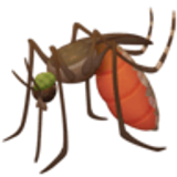 Sivrisinek - Facebook