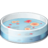 Petri kabı - Facebook