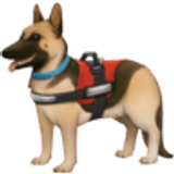 Yardımcı köpek - Facebook