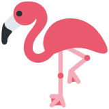 Flamingo - Twitter / X