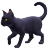 Kara kedi - Facebook