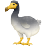 Dodo kuşu - Facebook