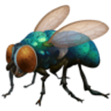 Karasinek - Facebook