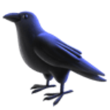 Siyah kuş - Facebook