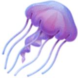 Denizanası - Facebook