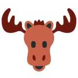 Sığın - Twitter / X