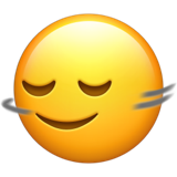 yatay olarak sallanan yüz