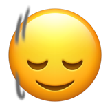 dikey olarak sallanan yüz