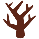 Yapraksız ağaç - Twitter / X