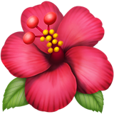 Hibiskus çiçeği