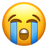 Çok ağlayan emoji