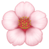 Kiraz çiçeği - Facebook