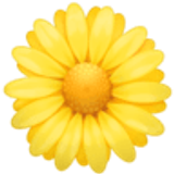 Çiçek açma - Facebook