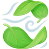 Rüzgardaki yaprak - Facebook