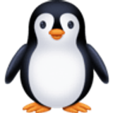 Penguen - Facebook