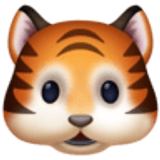 Kaplan yüzü - Facebook