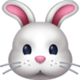 Tavşan yüzü - Facebook