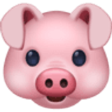 Domuz yüzü - Facebook