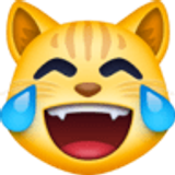 Sevinç gözyaşları döken kedi - Facebook