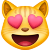 Kalp gözlü gülümseyen kedi - Facebook