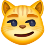 Iğneleyici kedi yüzü - Facebook