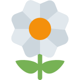 Çiçek açma - Twitter / X