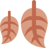 Düşen yapraklar - Twitter / X