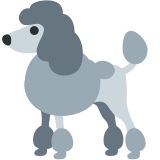 Kaniş - Twitter / X