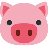 Domuz yüzü - Twitter / X