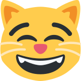 Gülen gözlerle sırıtan kedi - Twitter / X