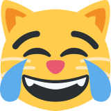 Sevinç gözyaşları döken kedi - Twitter / X