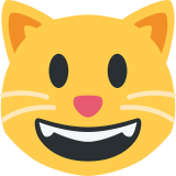 Sırıtan kedi - Twitter / X