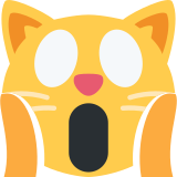 Korkuyla bağıran kedi - Twitter / X