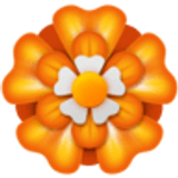 Çiçek rozet - Facebook