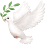 Güvercin - Facebook