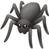 Örümcek - Facebook