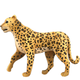 Leopar