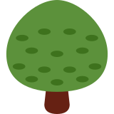 Yaprak döken ağaç - Twitter / X