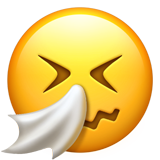Hapşıran emoji