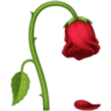 Solmuş çiçek - Facebook