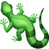 Kertenkele - Facebook