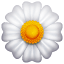 Beyaz çiçek U+1F33C Beyaz çiçek U+1F33C