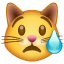 Ağlayan kedi Whatsapp U+1F63F Ağlayan kedi Whatsapp U+1F63F