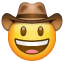 Kovboy şapkalı emoji Whatsapp U+1F920