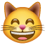 Sırtıran kedi Whatsapp U+1F638 Sırtıran kedi Whatsapp U+1F638