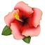 Hibiskus çiçeği U+1F33A Hibiskus çiçeği U+1F33A