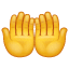 Dua (Alkış) Emoji U+1F932 Dua (Alkış) Emoji U+1F932